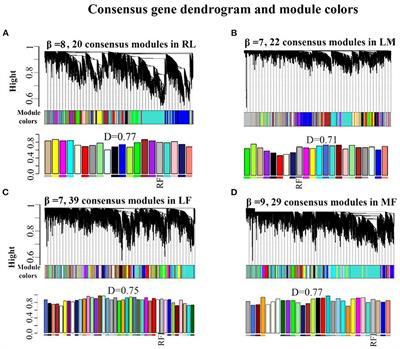 Multi-transcriptomics reveals RLMF axis-mediated signaling molecules associated with bovine feed efficiency